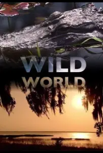 Мир Дикой Природы (сериал 2010)