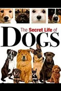 Тайная жизнь собак (сериал 2017)